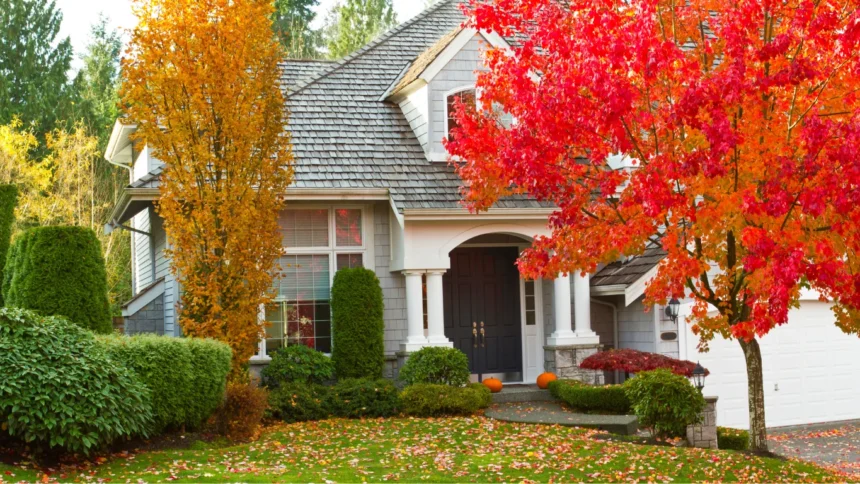 The One Area You Should Refresh in Autumn to Boost Your Home’s Value